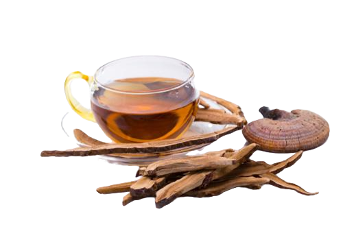 Where can I buy mushroom teas near me in the UK?