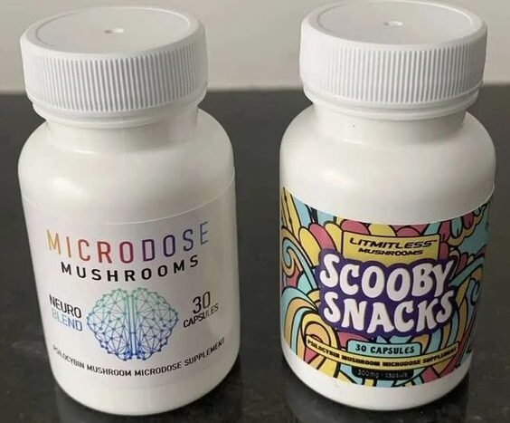 Microdose Psilocybin Capsules: Dosage for Addiction, PTSD, Intellectual Disorder, and Autism Spectrum Disorder in the UK and Europe