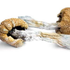 Buy Liberty Cap in the UK and Europe