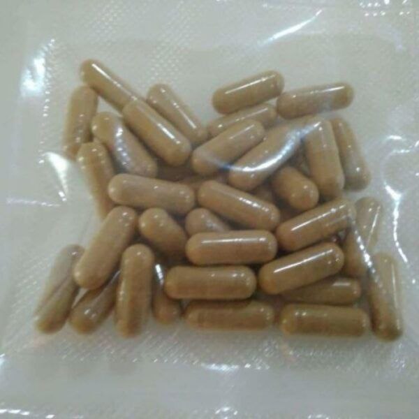 Where Can I Buy Microdose Magic Mushroom Capsules (Psilocybin) in the UK and Europe?