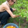 Where to Buy Tabernanthe Iboga Seeds Near Me in the UK and Europe 🌍🌱