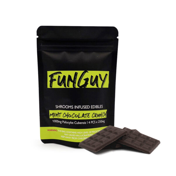 Buy FunGuy Mint Chocolate Crunch UK: Refreshingly Delicious and Satisfying