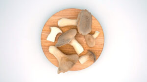 Buy King Oyster Mushrooms online UK