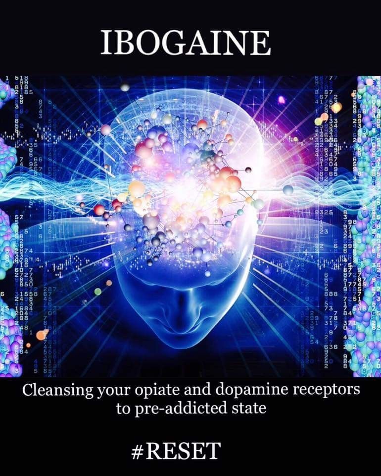 Mild Cognitive Impairment (MCI) and the Future of Psychedelic Treatments with Psilocybin and Ibogaine
